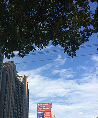 ������ɽ·