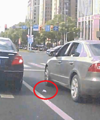 ��������������� ��֪��������Ļ������˺�������