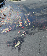 �������·������·�Ͼ���һ̲���� �ֳ�����ֱ�ӡ���