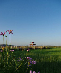 �������������