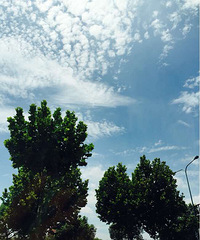 ���ȣ�����