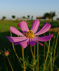 �������������