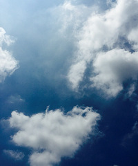 ������ƺ�������