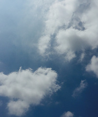 ������ƺ�������