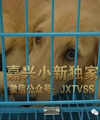 һ�����ڼ���һ����԰�ﴥ���ˣ���ô�������� ��ǧ���ȷ�˭����