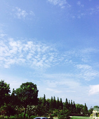 �����ѽ��