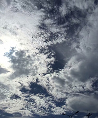 �ѵõĺ�����