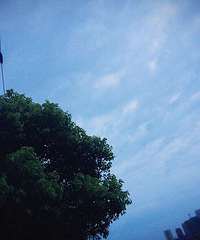 ����İ���