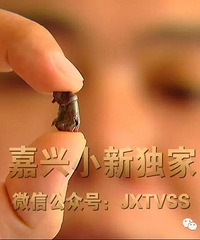 ����һ���˼�ǽ���ﾹȻ���С��ӵ��� ����װ�޹��˱�ը�ˣ�