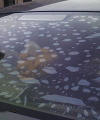 �󵵲���Ĥ���� ˺�����ó� �ж���