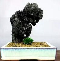 ���ˣ����������һ����������Ԫ������׬3��