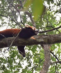 ���ݱ���Խ�����꣬�����������ץ�������Ƕ�˵���᲻���㡭