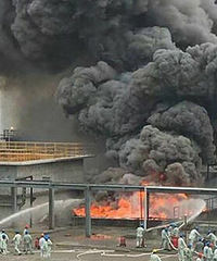 է�ֻ���԰���Ż��ֳ����̹�����