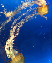 ����һ��