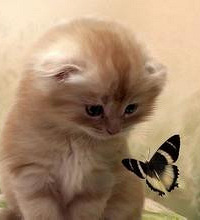 91��MM ��ҵ��λ�ڱ� ϲ���Ը�ǫ�͹����ȶ��Ķ���