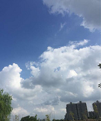 ���������°���Ʈ��������