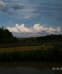 ������ƾ������������������ʡ�