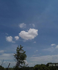 ������ƾ������������������ʡ�