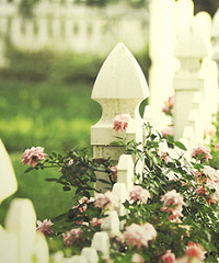 93����� ����170 ��ҵ��  ����һ�� ��������ν