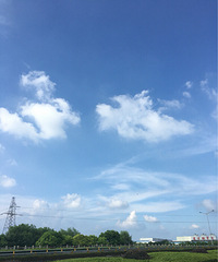 ������������˵����