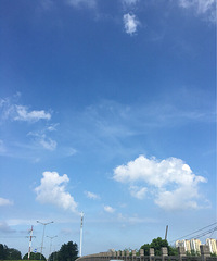 ������������˵����