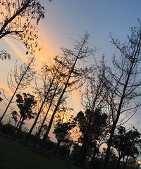 �紵�ݶ����˺ٸ�Ӵ��ȴδ��ɧ�������