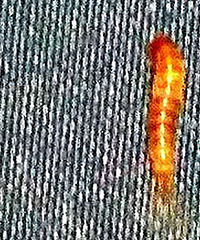 �𿪴��� ���ĳ��ڲ��Ѻڳ����� �ҿ���ë���Ȼ