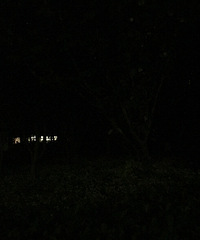 ����·����ˮ�幫԰����Ȼ�������˺ڵ�Ϲ���ڡ���