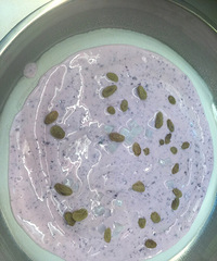 �����ó�