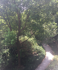 ����Ҳ���