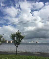 ������ƣ�