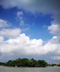 ����Ȧ�ֱ����������ˢ���ˣ�