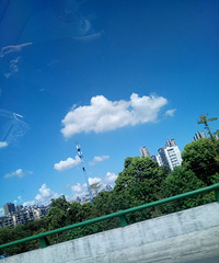 ��лG20�������Ҽε�������������