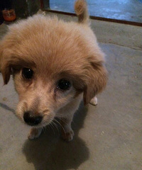 ����ʲôƷ�ֵĹ�����