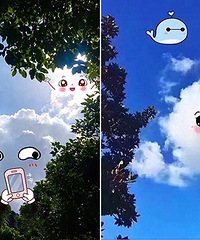 ������ ����İ��������գ�