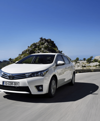 ��������ر���12.5�� ����Ƥ��Ĥ�ŵ� ����12�����ô��