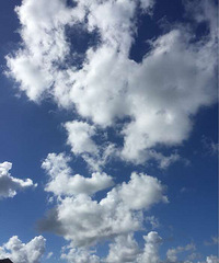 ��������ƺðס�������ô���ʣ�