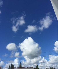 ��������ƺðס�������ô���ʣ�