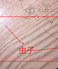 ����岻��һ���� ��ë���淢�� �ñ������ǳ汦����