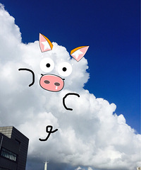 ������ô��