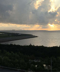 ĺɫ���Σ�ɹ��һ���������ƣ�����һ����