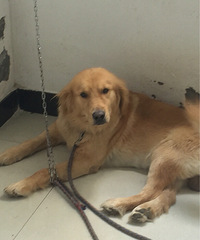 ������Ǯ����Ʊ��Ǯ�����