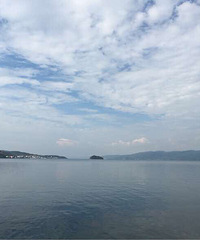 �����Լ�������