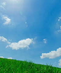 ϲ�����˽�������