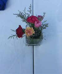 �����ڿ���