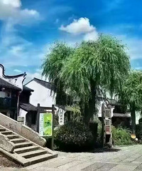 ���մ���˵����������������