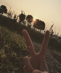 ����� ������