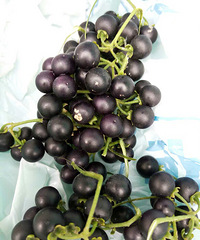 ��˵Сʱ�򾭳��������������...