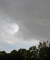 ���������������һ���ʺ�