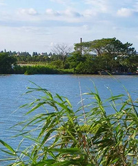 �����и���������������Ĺ���99%�ĺ����˶���֪����